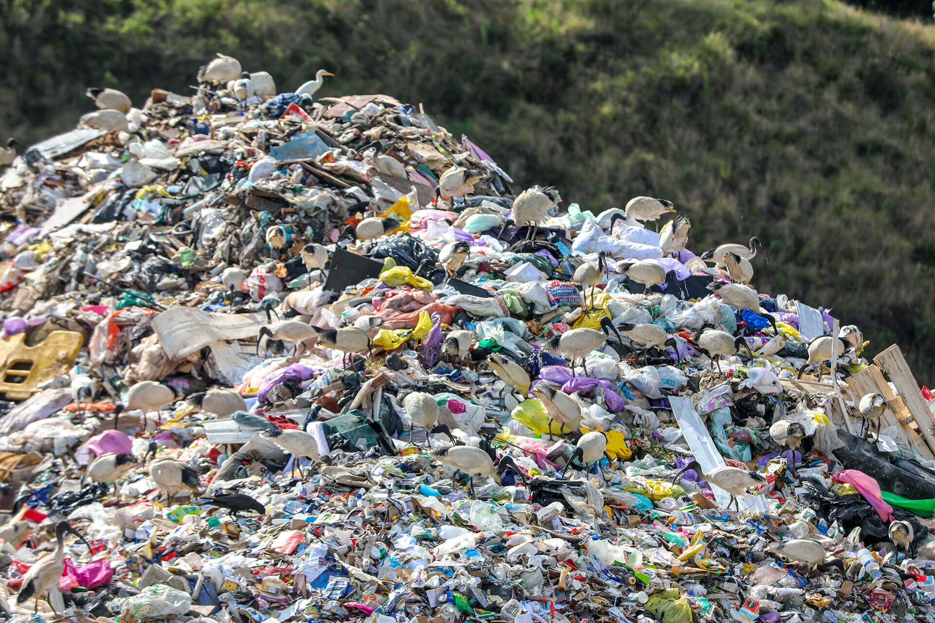 Piles of waste at the Lismore waste sorting facility after the 2021-22 floods