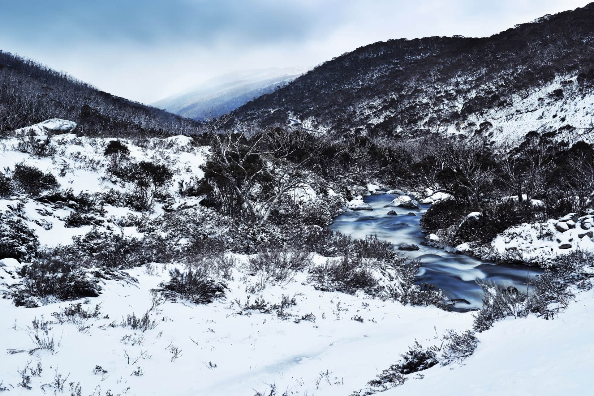 Snow, Kosciuszko National Park. Credit: Brad Chilby/DCCEEW