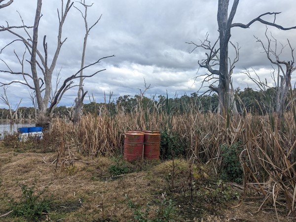 44-gallon drum in floodwaters, Central West NSW