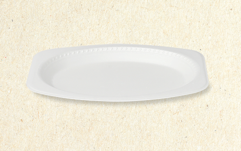 Banned plastic single-use plates