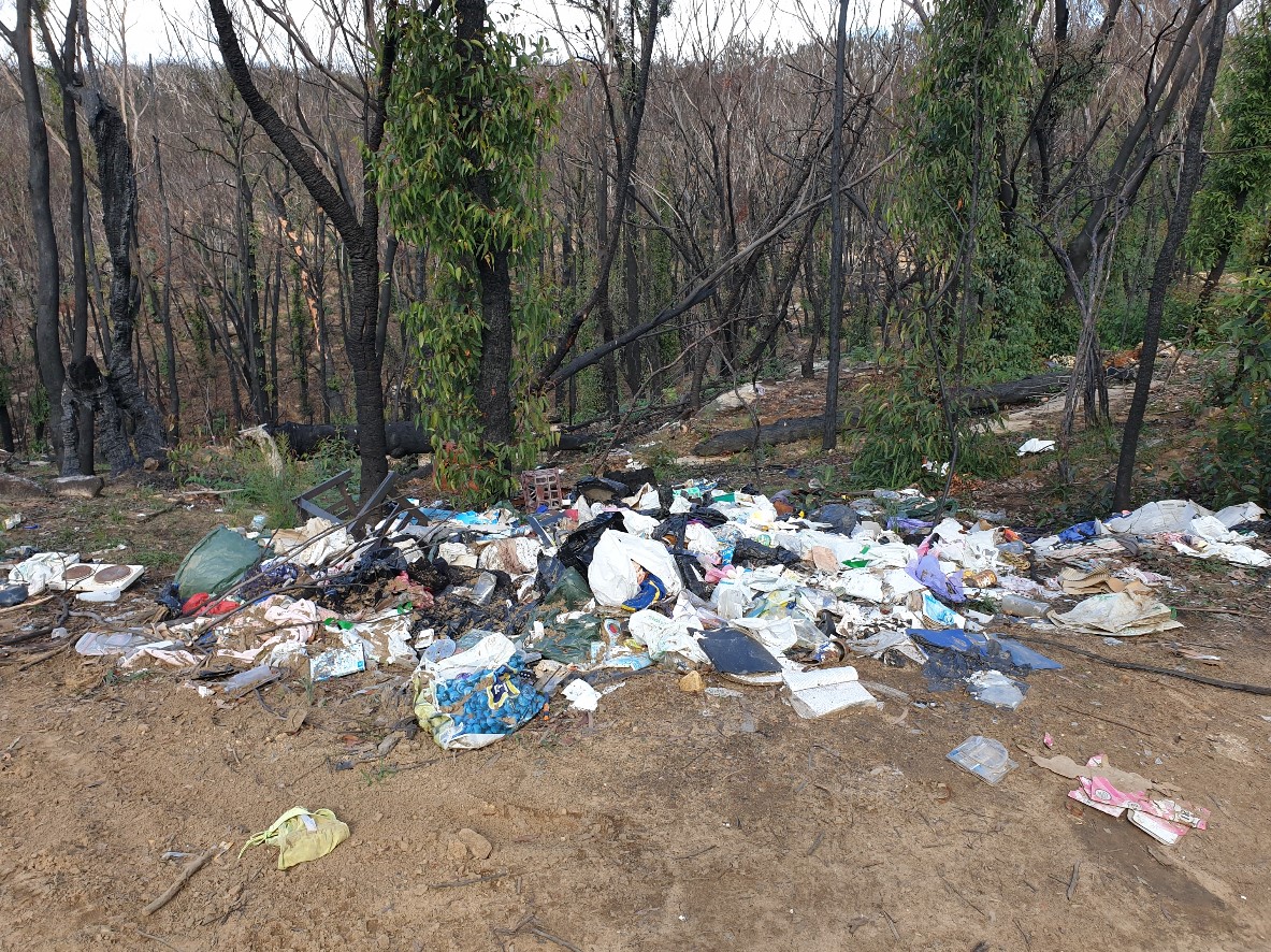 Dumped rubbish in the bush