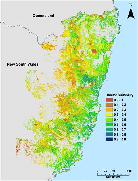 Map of koala habitat suitability in north-east NSW (red is lowest habitat suitability, yellow and green are moderate suitability and blue is highest habitat suitability)